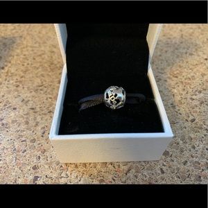 Authentic Pandora bracelet and charm.